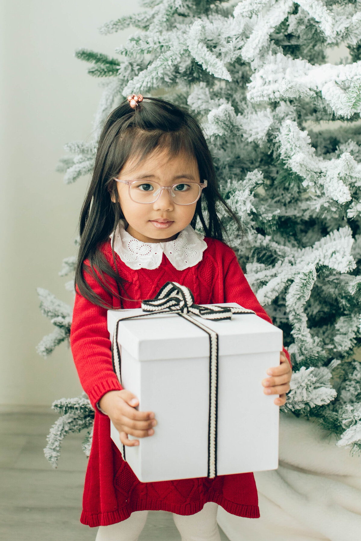 portland-holiday-photos-studio-aniko-123