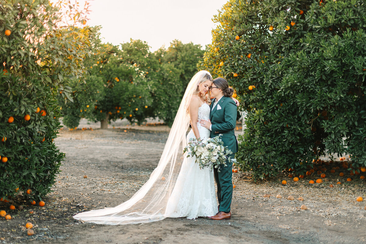visalia-wedding-photographer-28