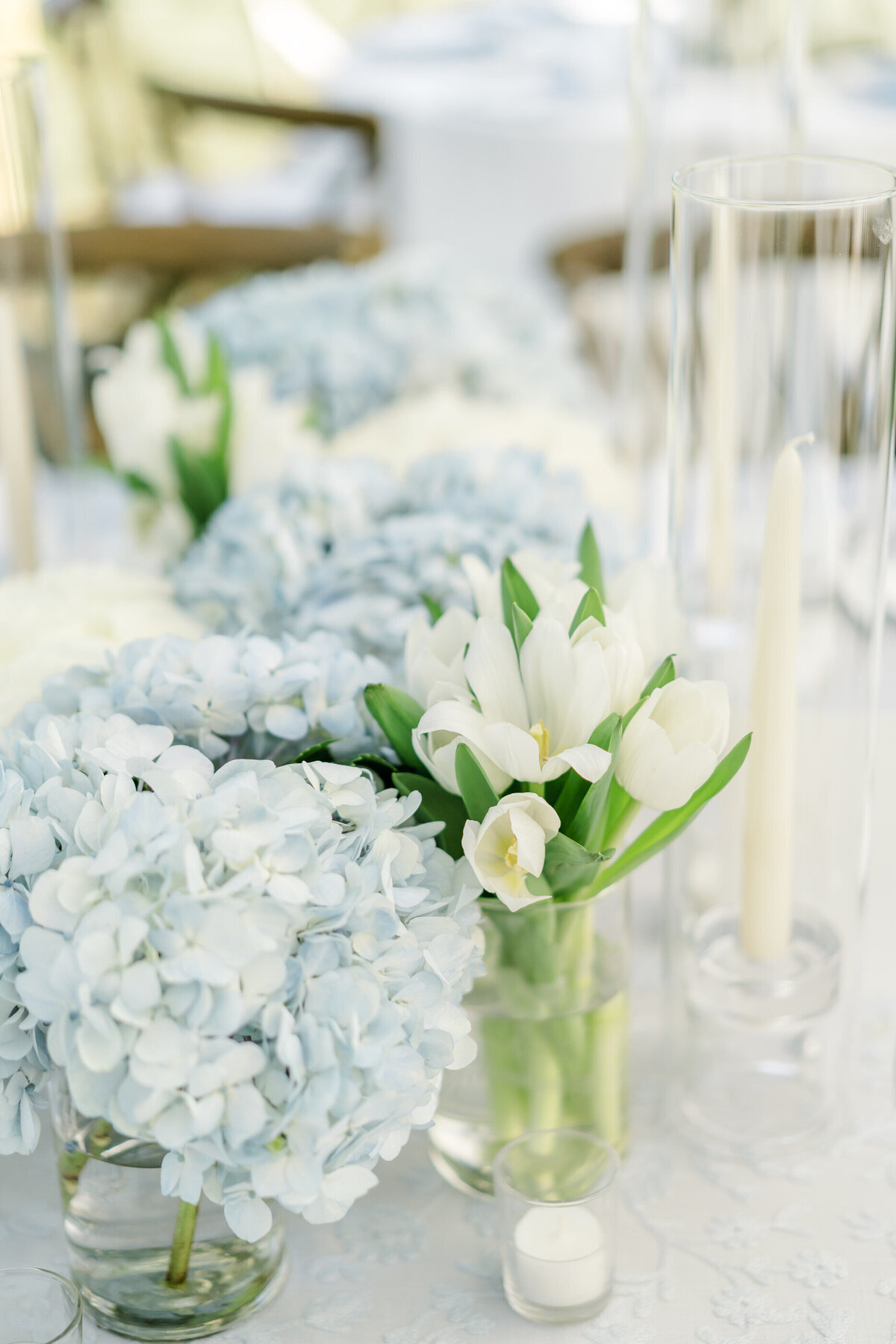 PETRAKIAN - Megan Noll  Reception-106