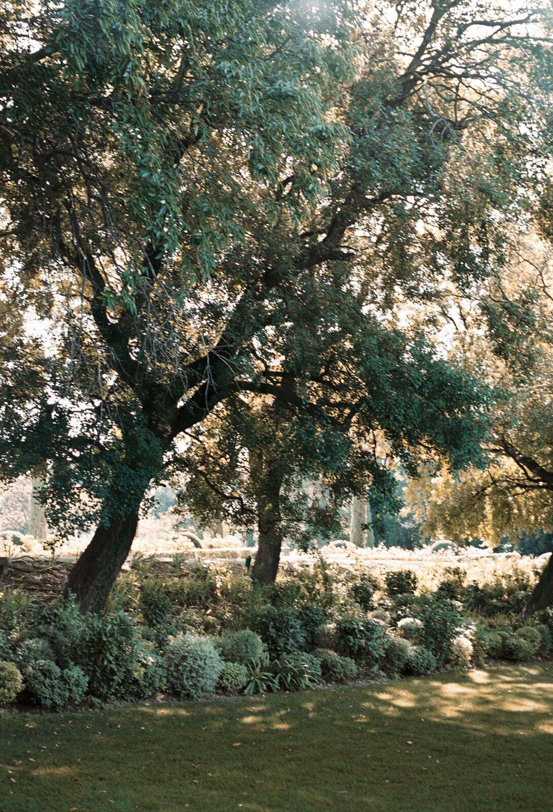 Flora_And_Grace_Editorial_France_Analog_Editorial_Wedding_Photographer (1 von 1)-201