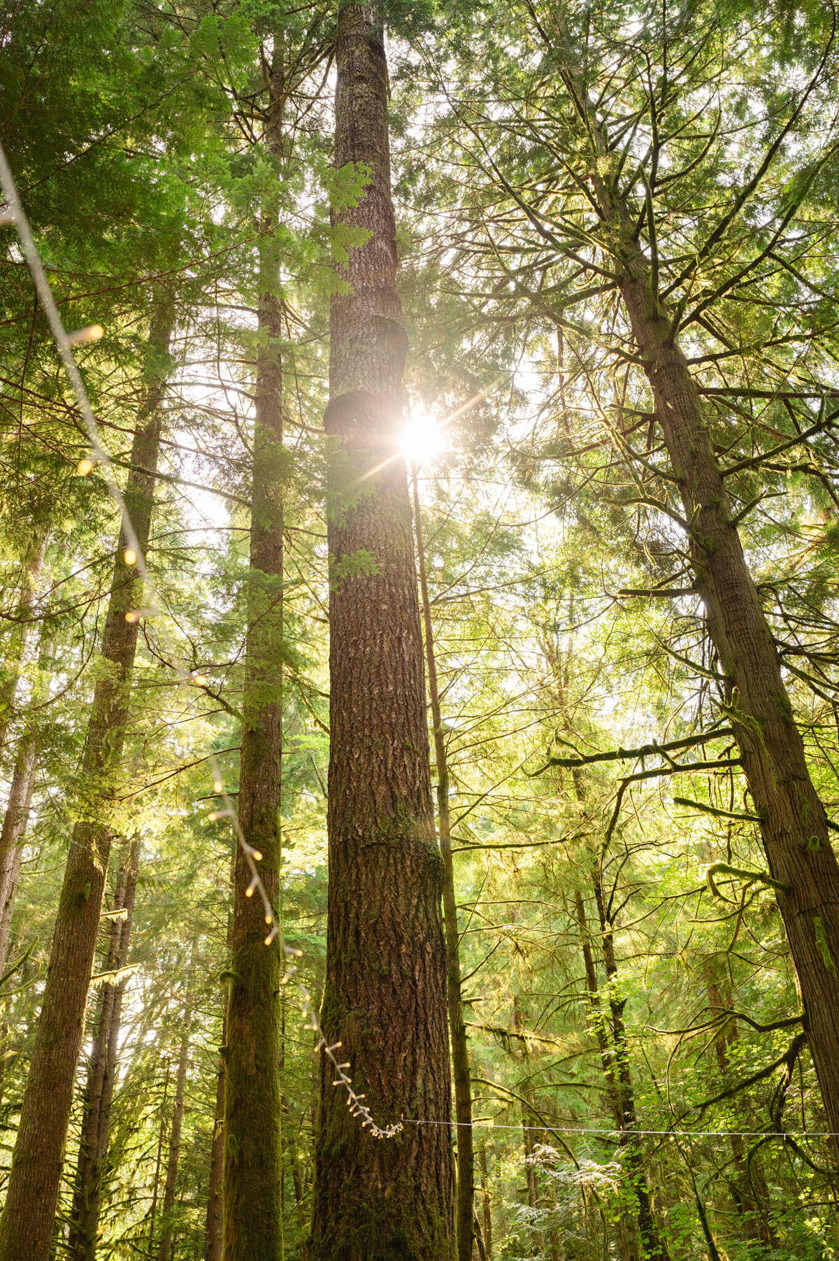 Moon-Mountain-Lodge-Wedding_Caylie-Mash-Photography_NE020