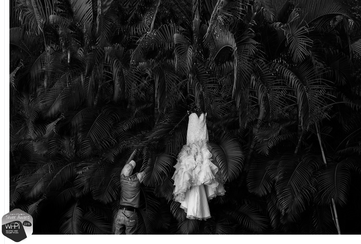 Wedding dress hanging in palm trees