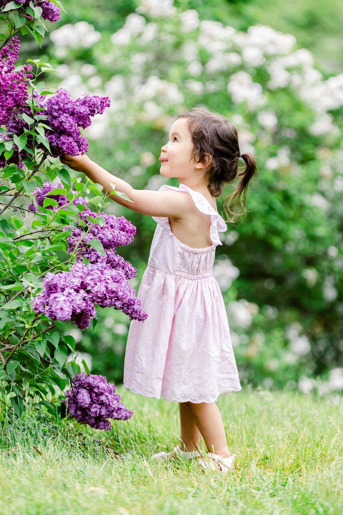 Toddler girl with lilacs
