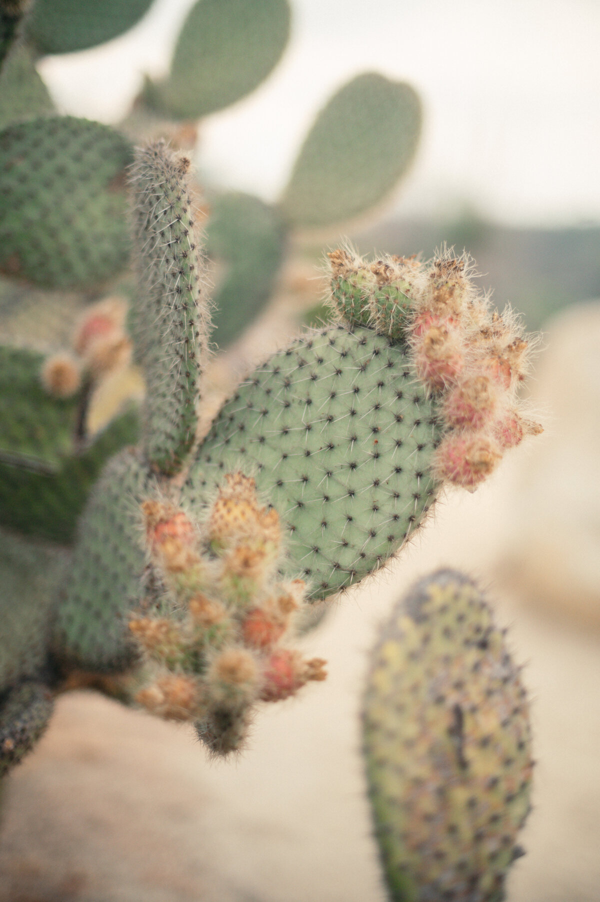 KEB_0959