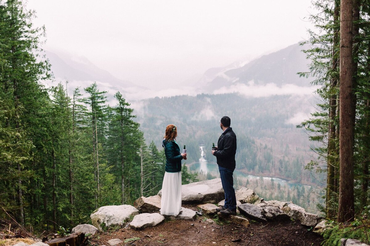 Couple over looking a distant waterfall during their Washington Elopement