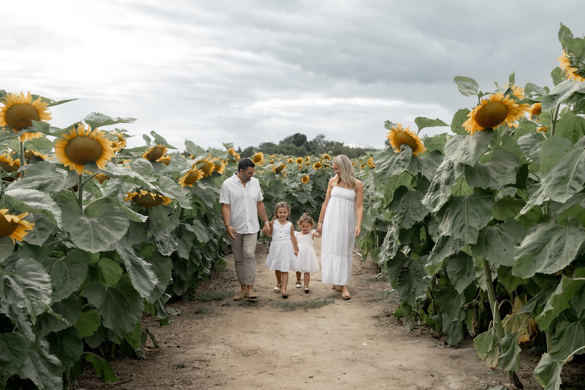 Sunflower Minis - Nadine-12