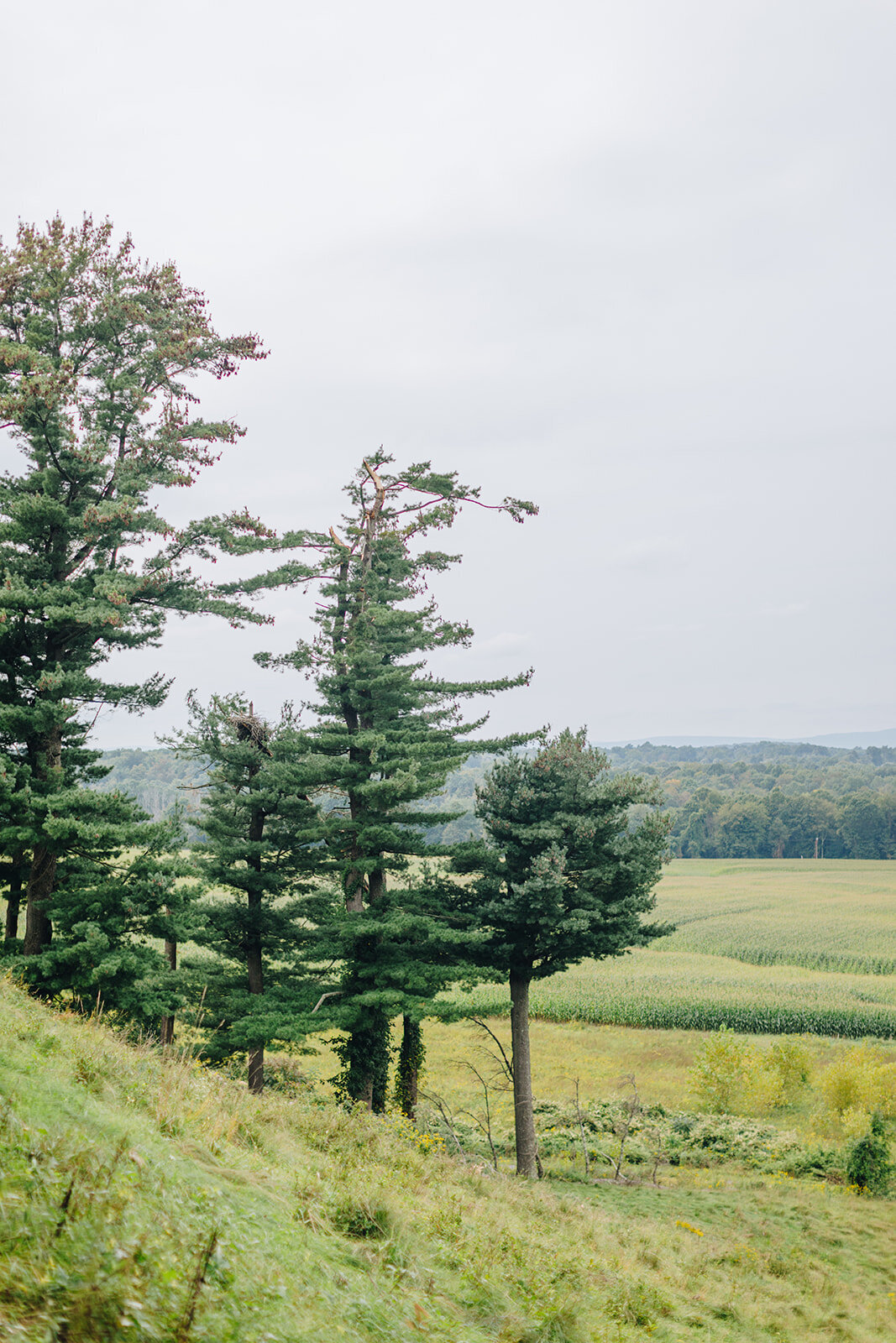 ZH_Borden_Estate_Wallkill_Wedding_Wild_Sound_Photography_1J6A3708