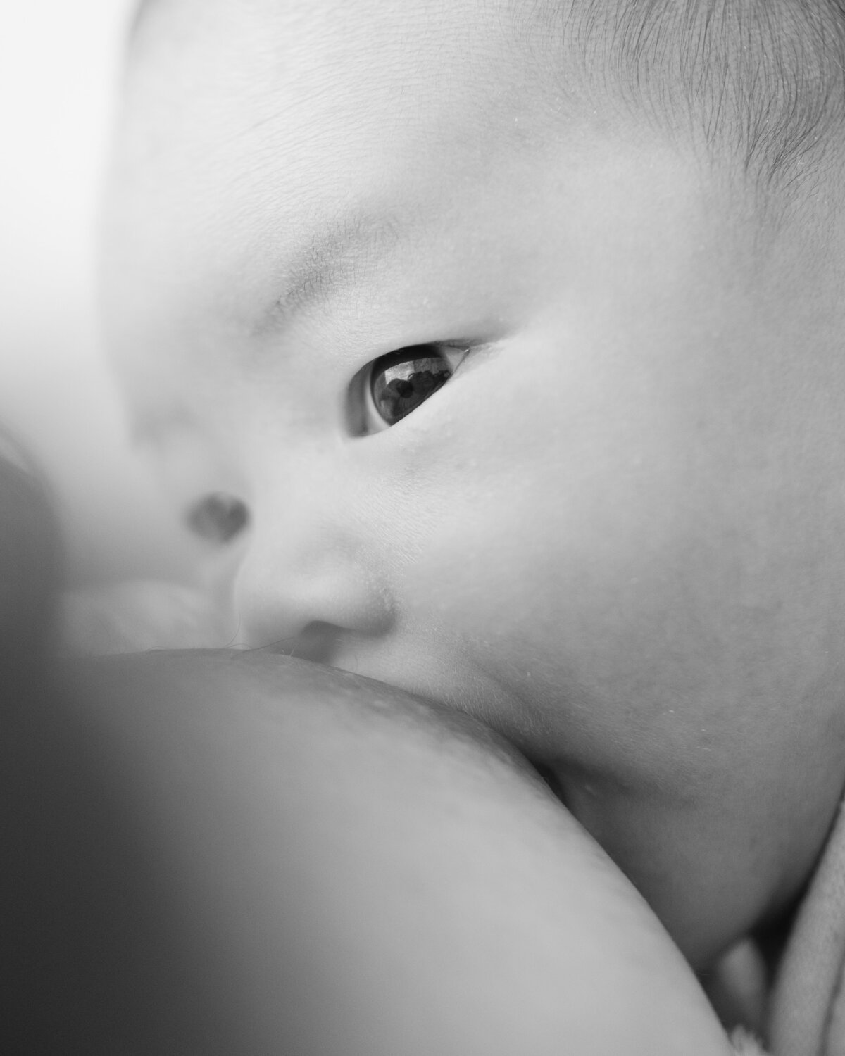 Newborn photography session at a Philadelphia photography studio - 11