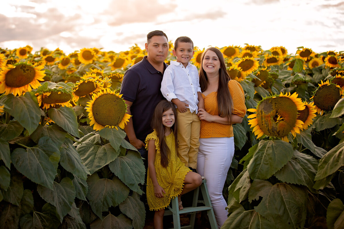 MiniSession-Sunflower-Family-Photographer-Photography-Vaughan-Maple-180