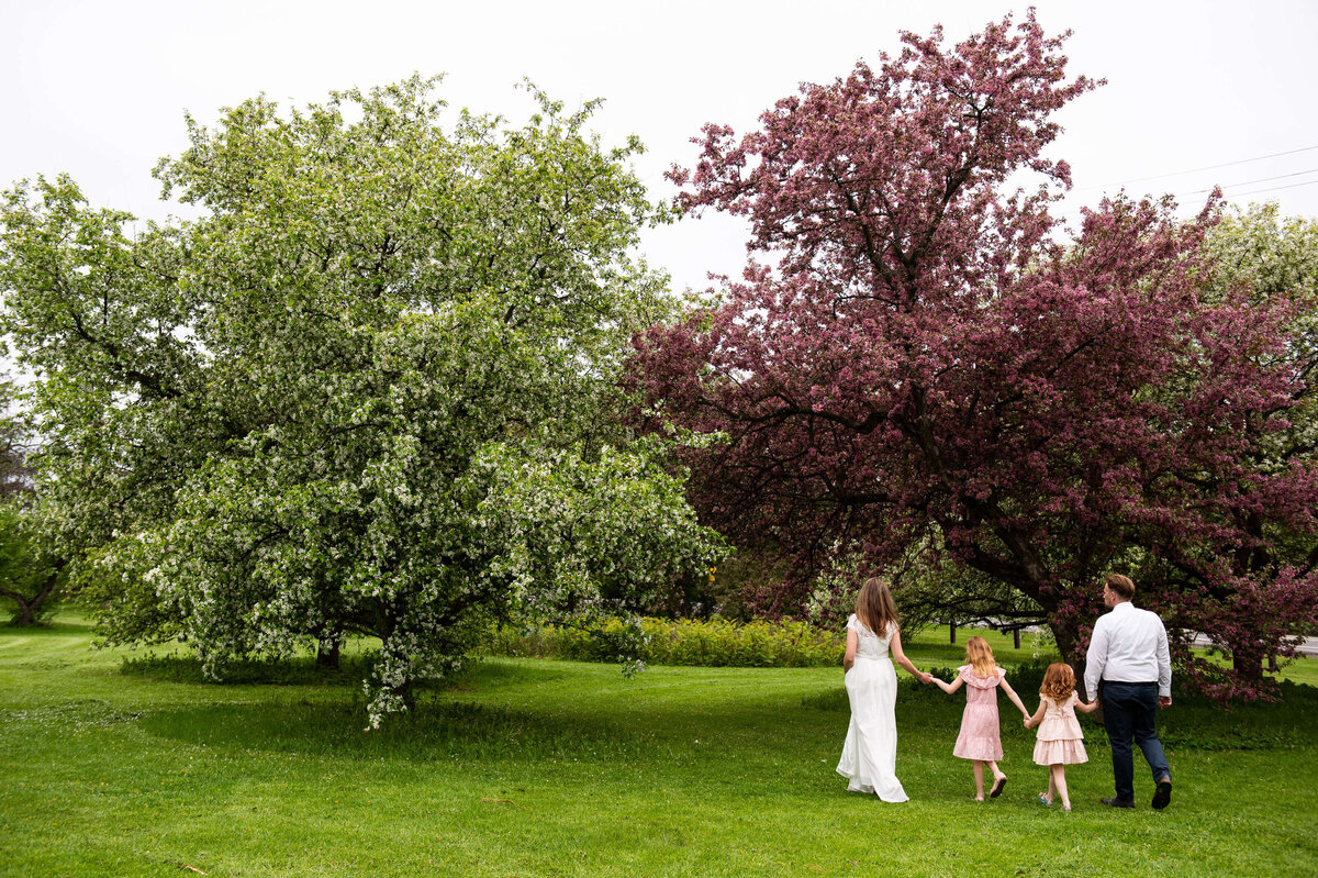 a family walks hand in hand in the blossoms at the Arboretum.  Captured by Ottawa Family Photographer JEMMAN Photography