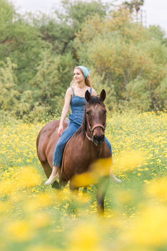 senior girl on horse in field of yellow flowers
