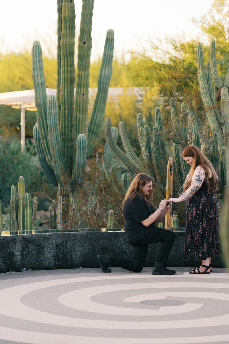 surprise-proposal-reflection-garden-desert-botanical-garden