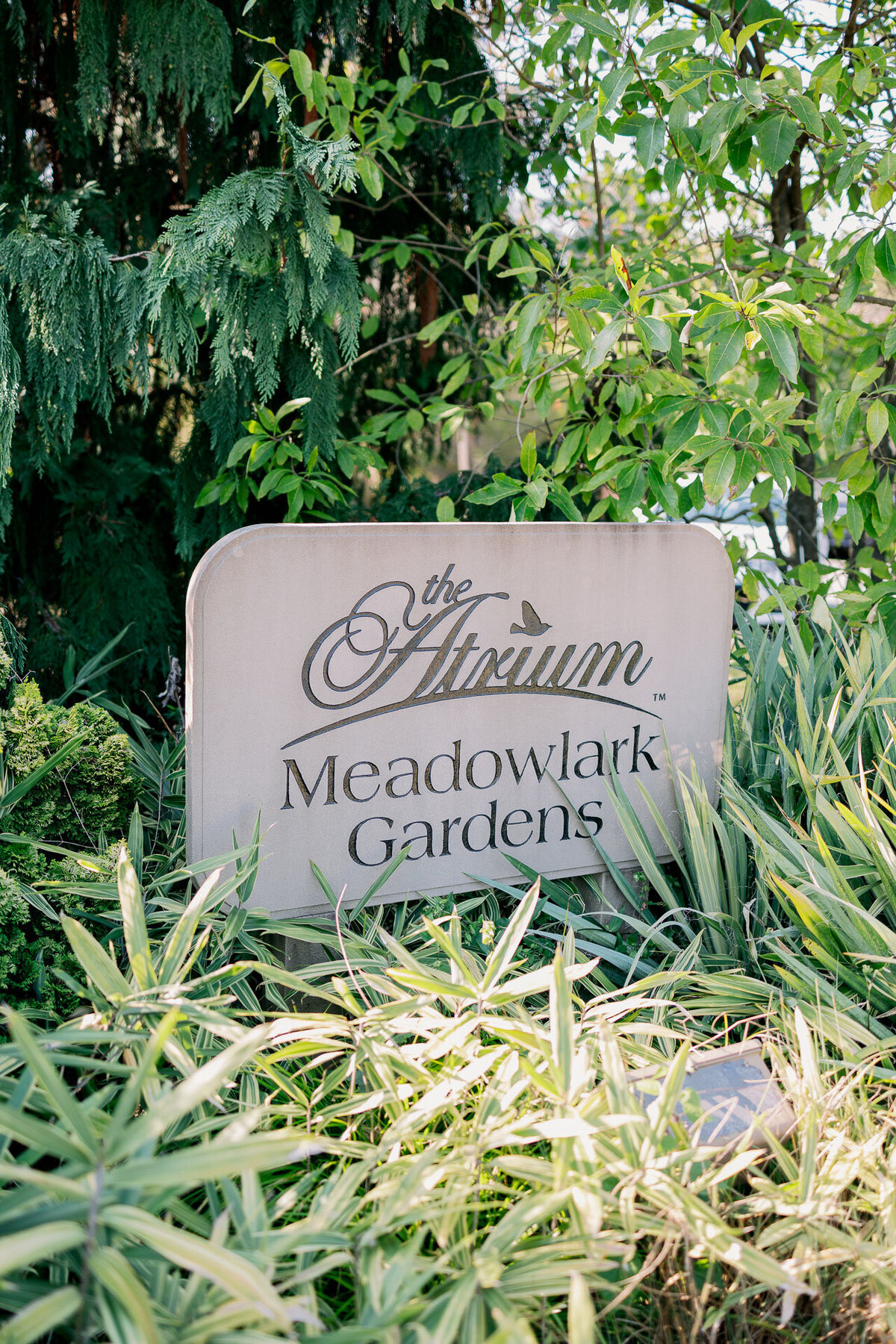 the-atrium-at-meadowlark-botanical-gardens-vienna-virginia-wedding-62