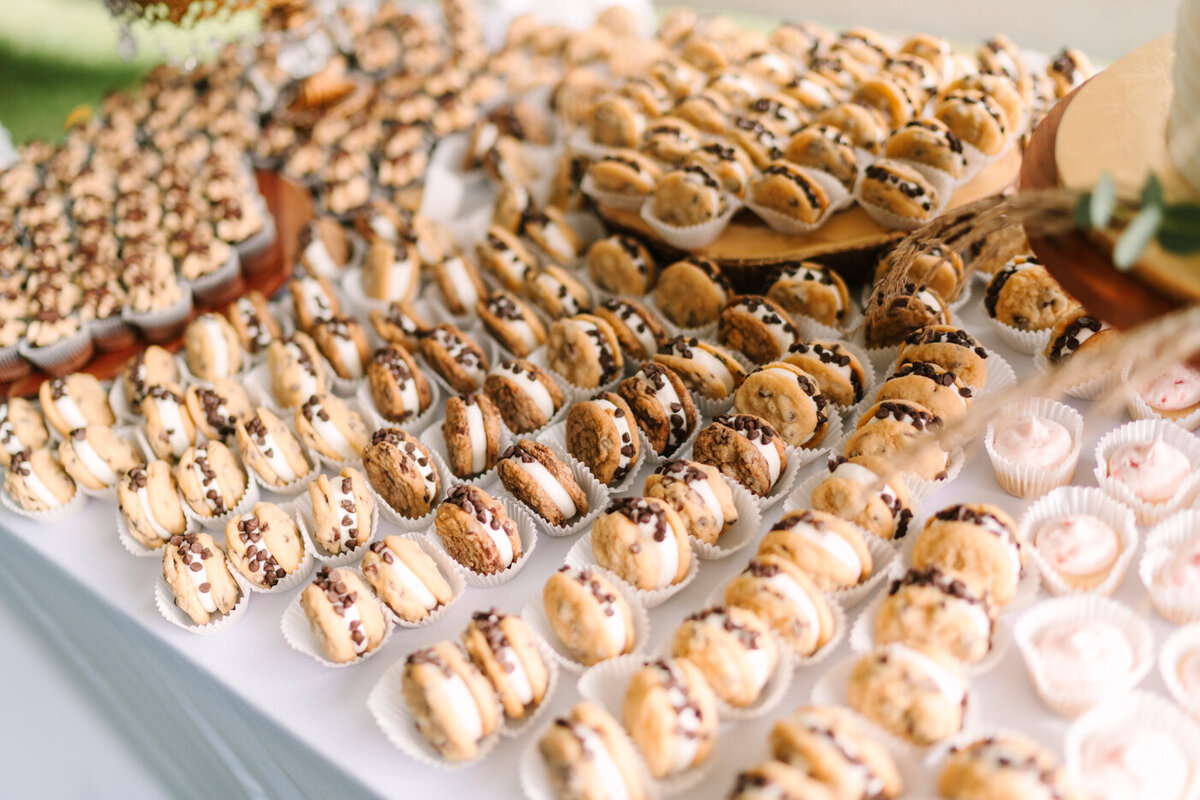 WVWeddingPhotographer17