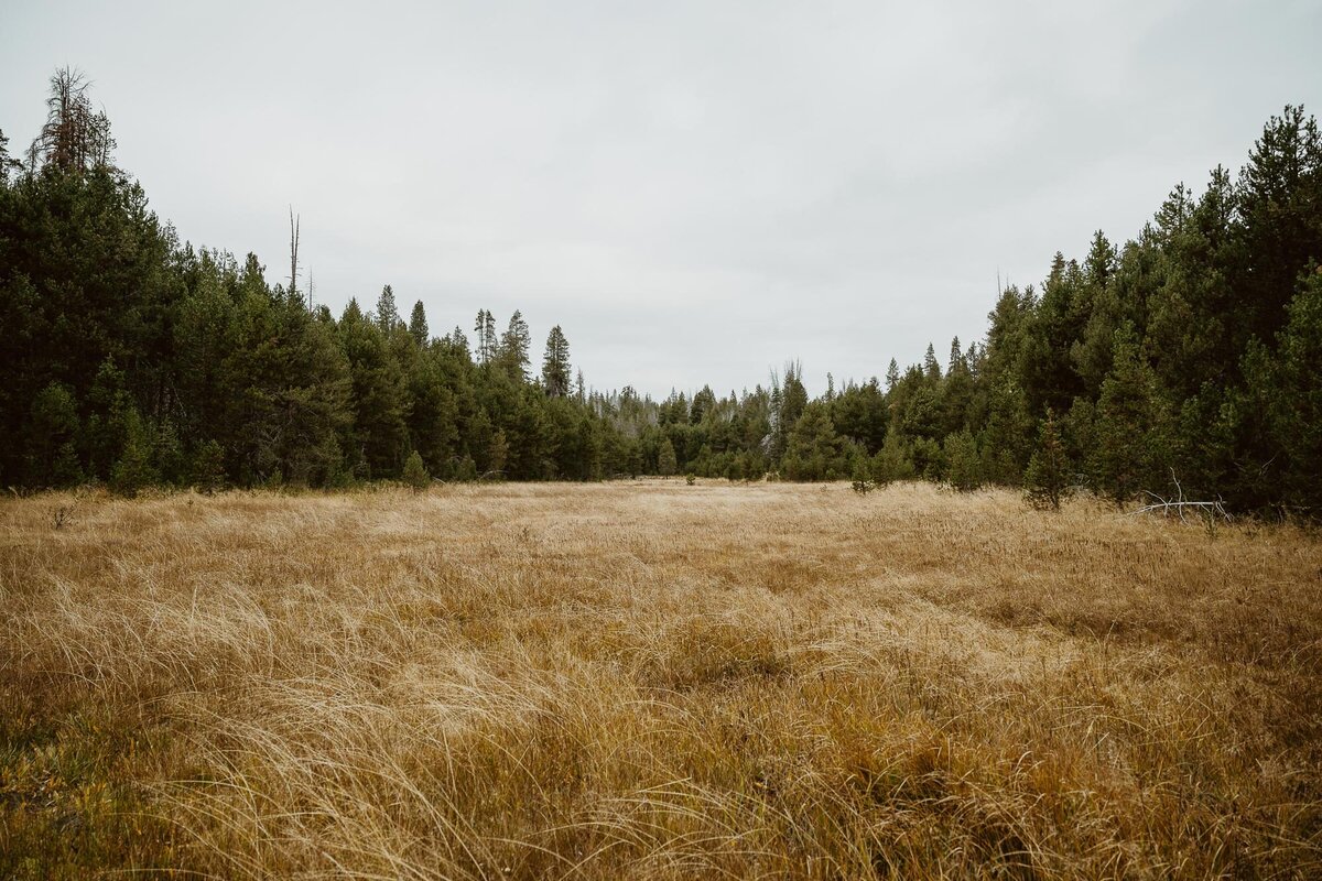 Yosemite_wedding_photographer_11