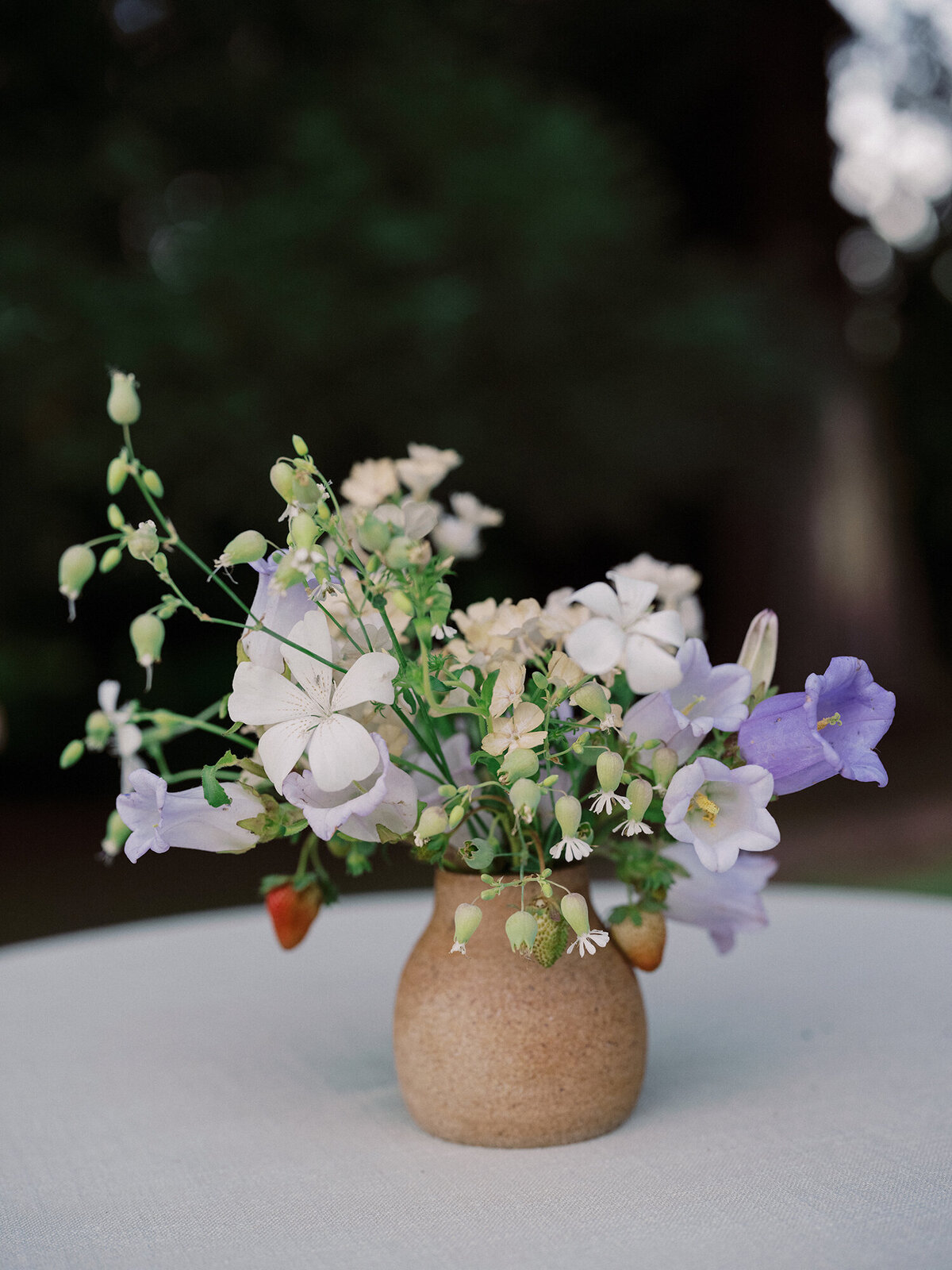 highlights_044