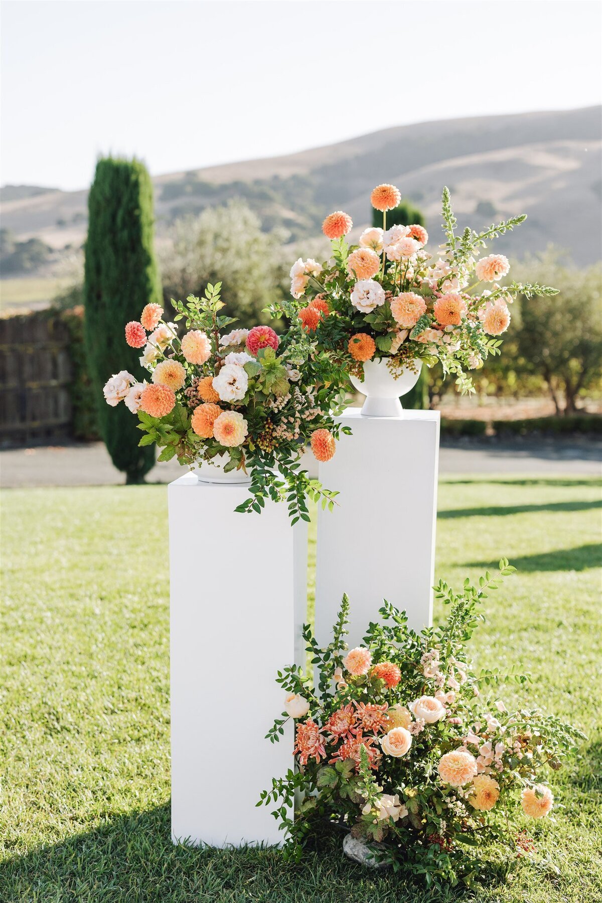 viansa-sonoma-wedding-annie-ben-ashley-carlascio-photography-0461
