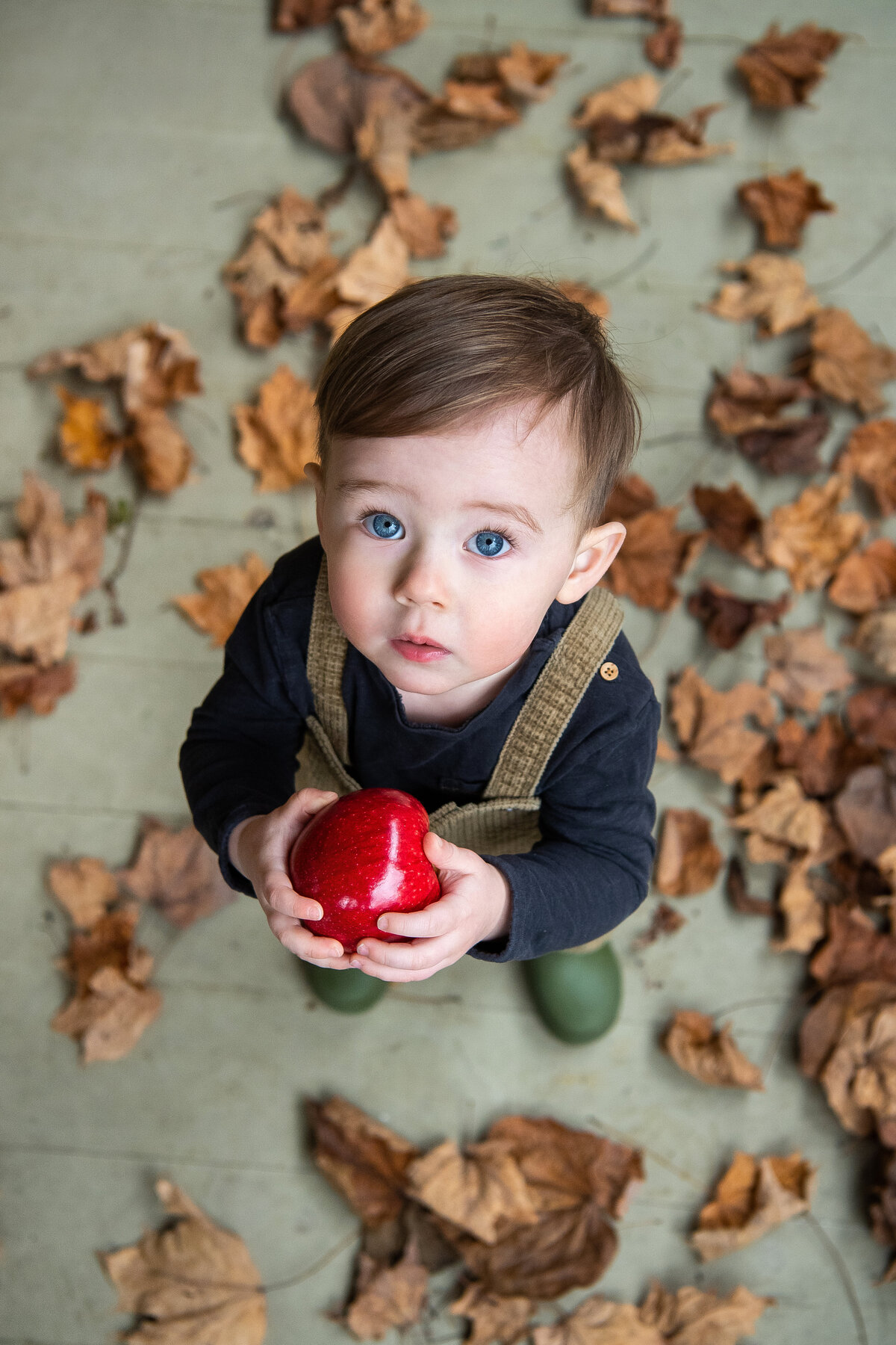 London Ontario Family Photographer - London Ontario18