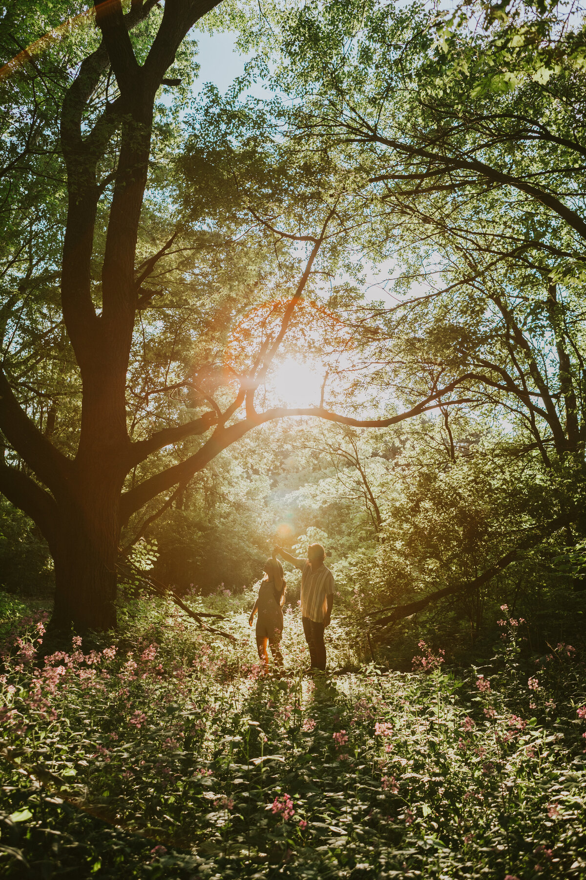 Bride in forested area, serene Indiana wedding portrait.