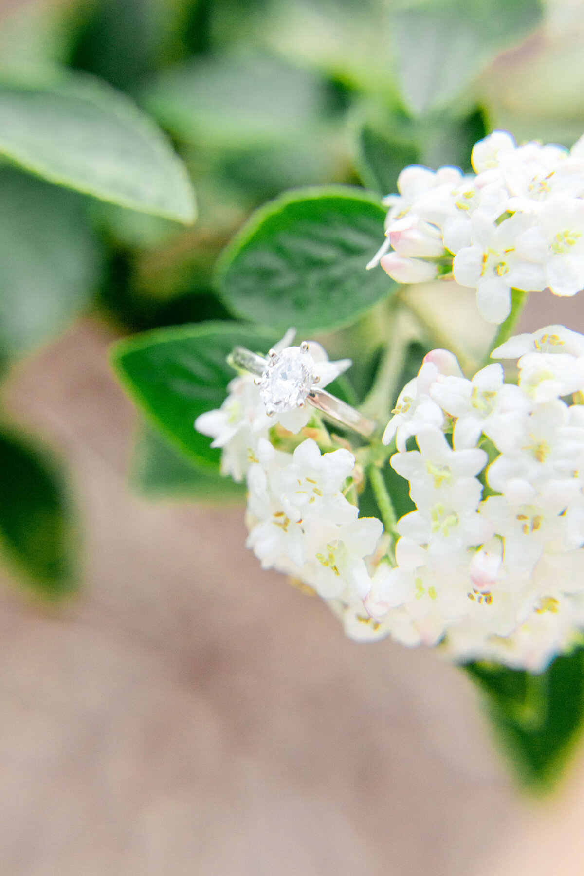 Engagement-ring-on-flowers-outside