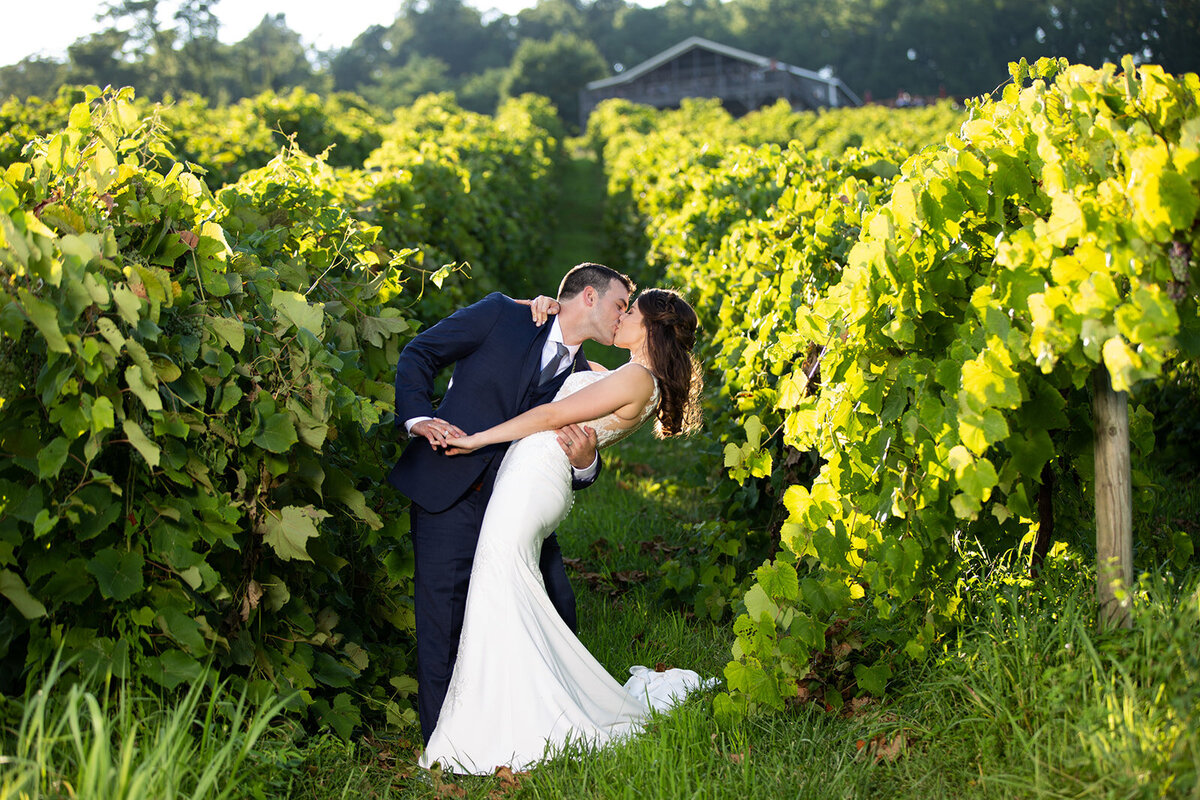 loudoun-studios-bluemont-vineyards-weddings-va00047