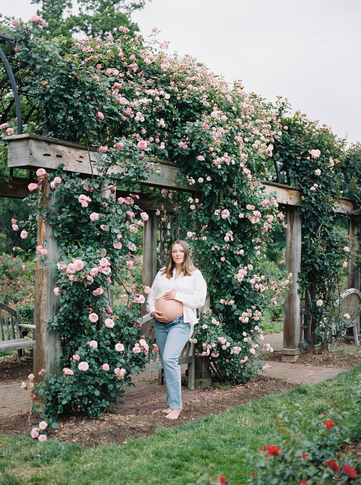 rose-garden-maternity-photos-northern-virginia-maternity-photographer3