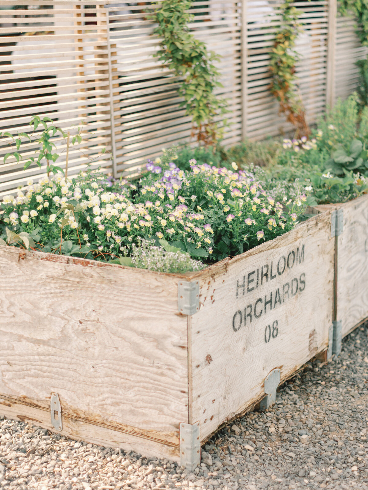 the-orchard-wedding-photos-by-the-tenneys-photography-in-hood-river-oregon-17