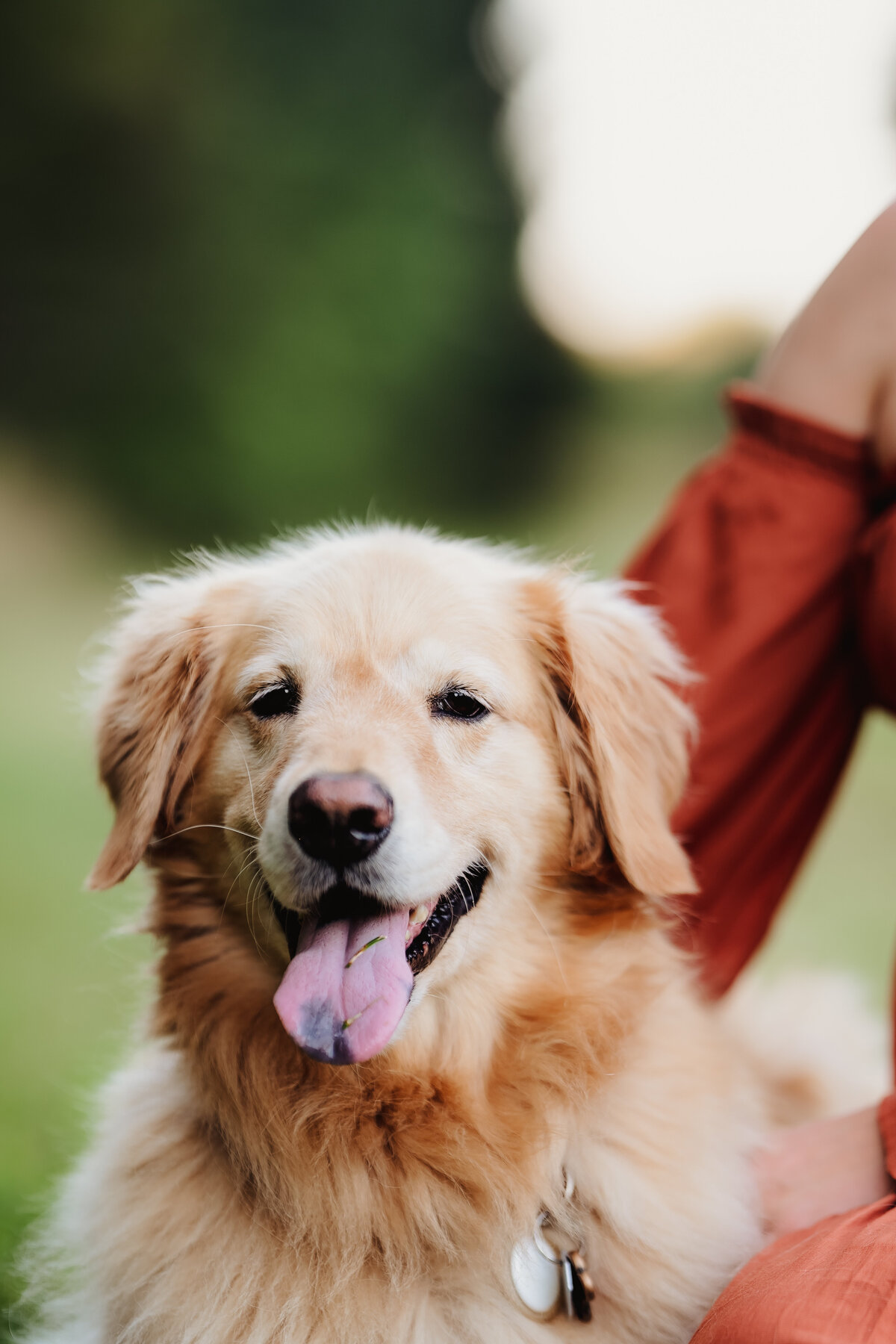 OliviaB_Fall2025_034