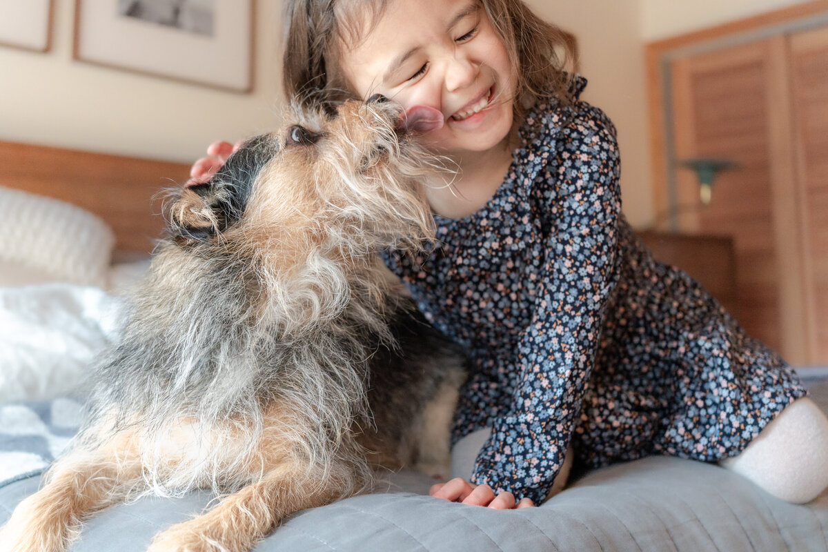 wiry dog licks cheek of smiling 4 year old girl