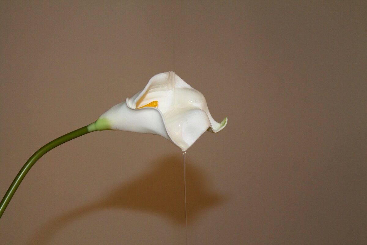 Studio styling & Product Photography_ADP Studio