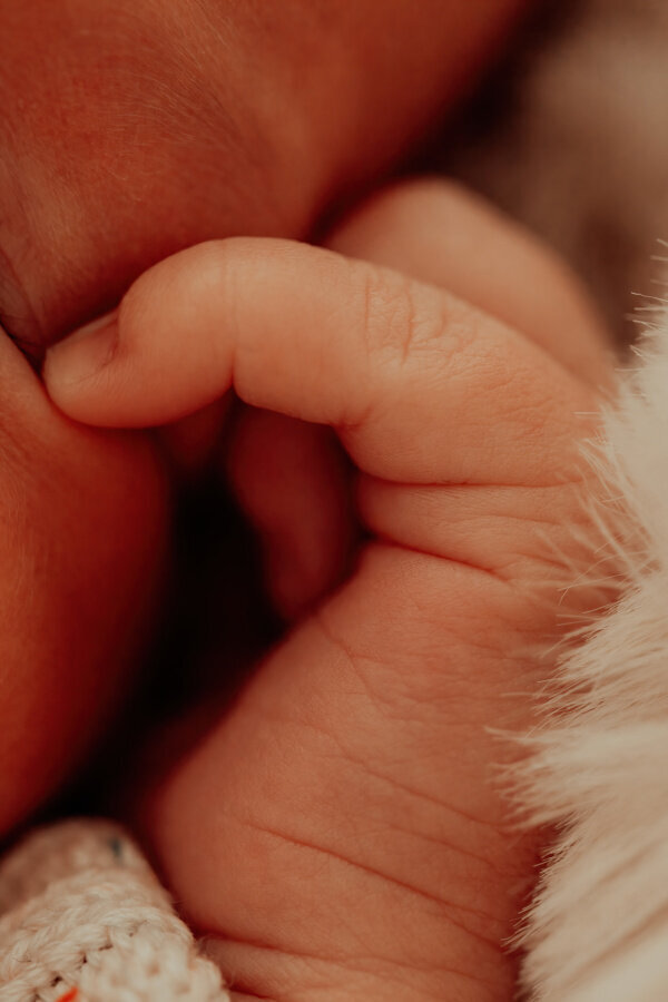 FullBloom_RollensNewborn_-18