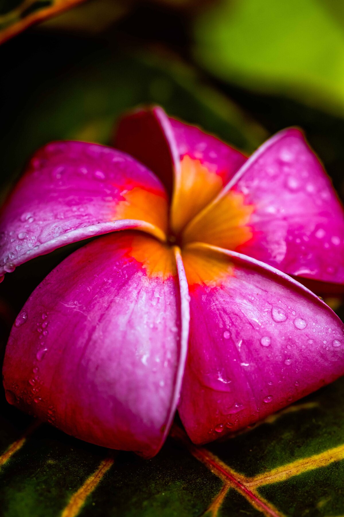 _DSC4397-Edit