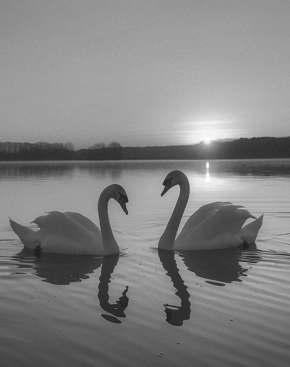 55b01274-6506-4370-852f-45d60cae0dfd