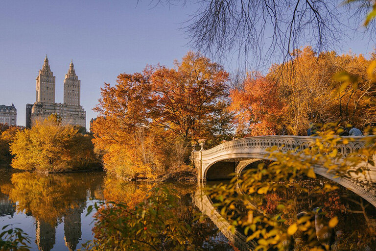 A scenic bridge over the river in Central Park, New York City, surrounded by fall foliage and city skyline.