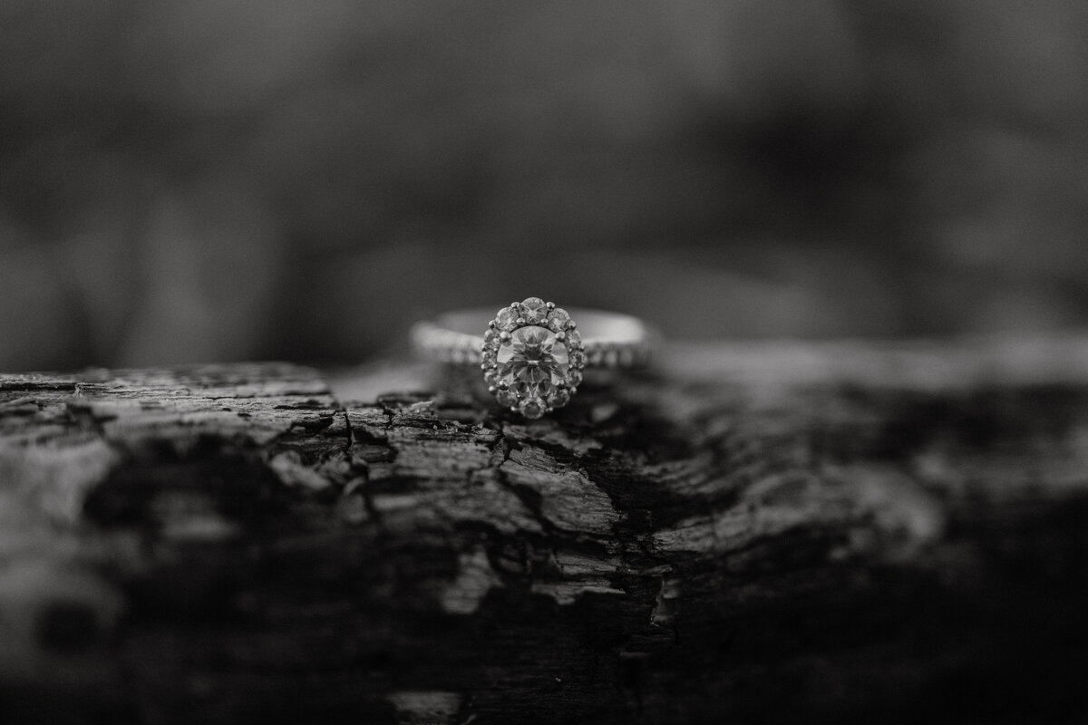 black and white image wedding ring