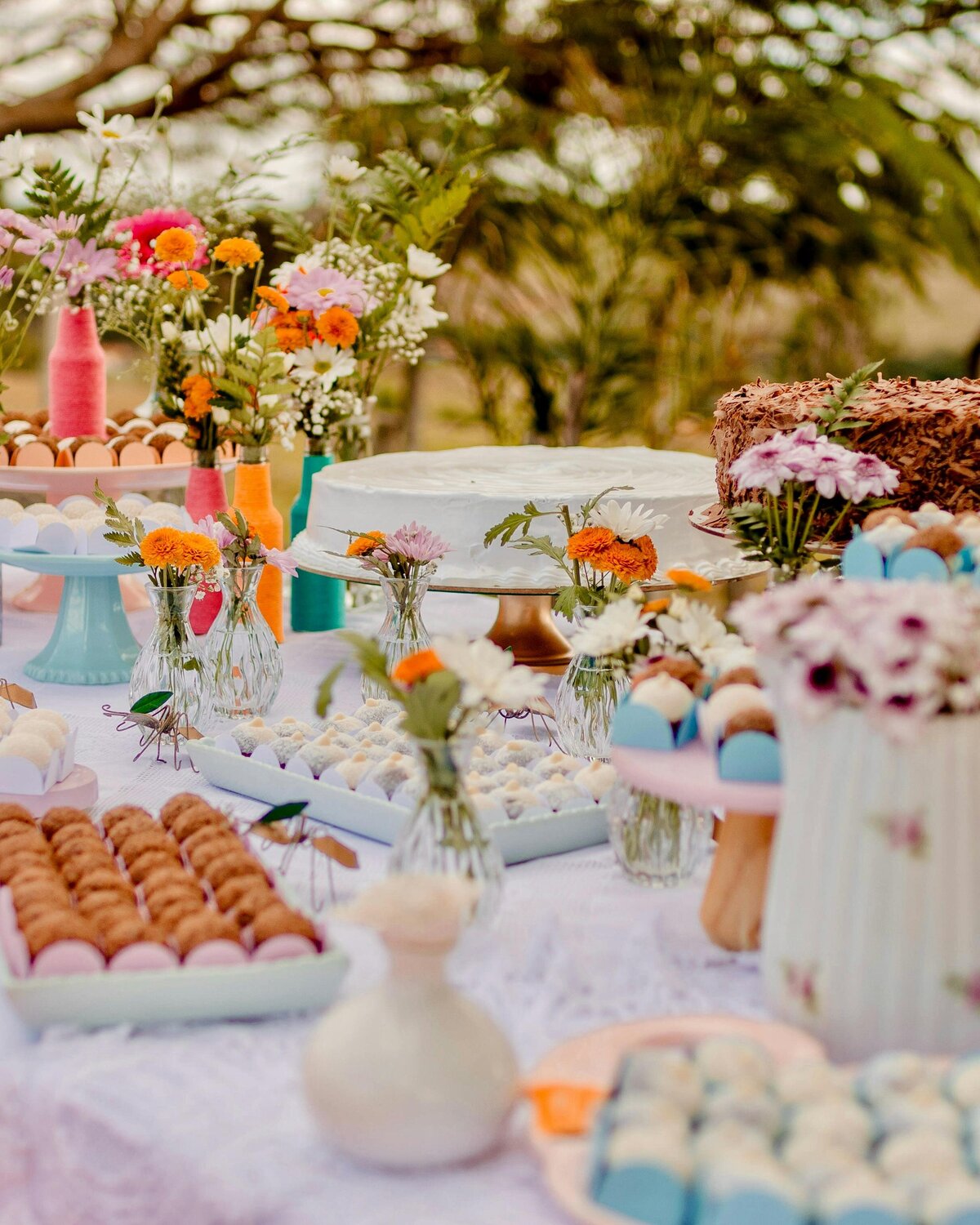 pexels-alex-souza-763919741-29528052