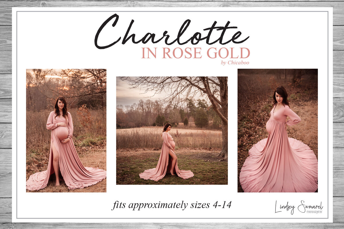 LS Maternity Closet Charlotte_RoseGold