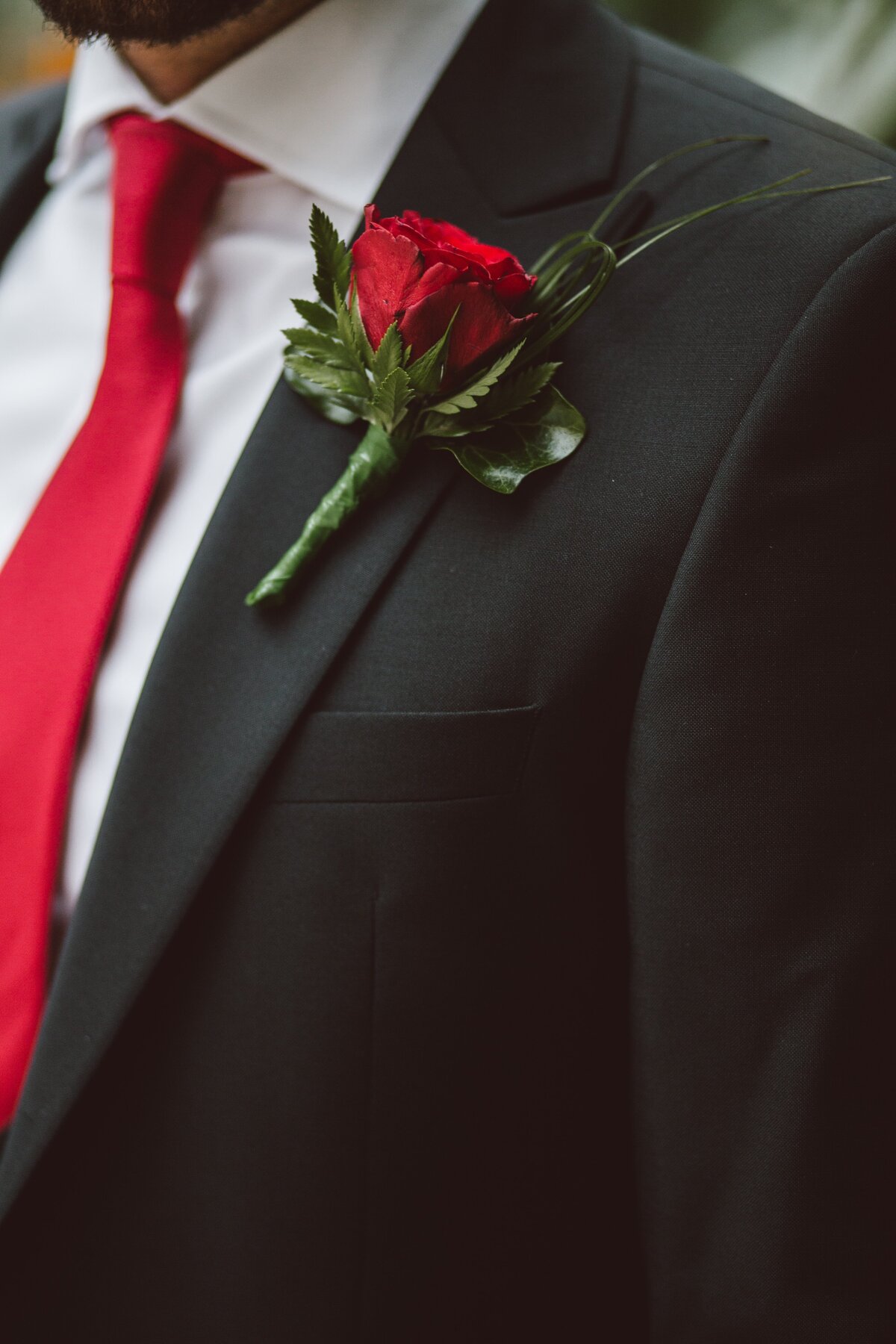 tom-the-photographer-vSp0gwaZIzI-unsplash