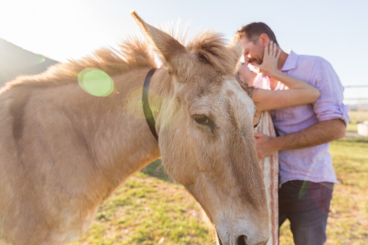Couple kissing with horse giving the side eye