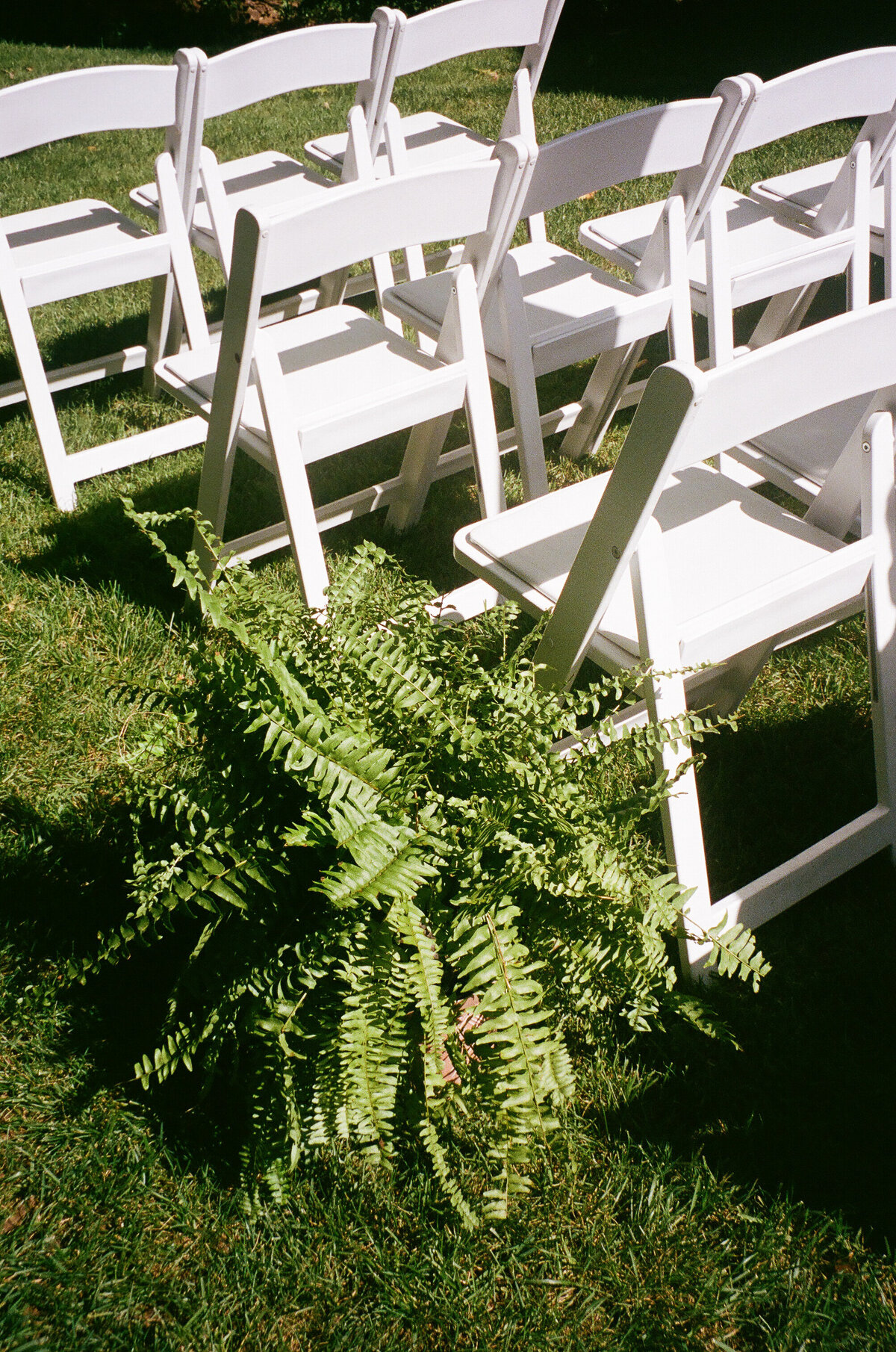 Emilee & Chris - Spain Ranch Wedding - 35mm Film Scans-79