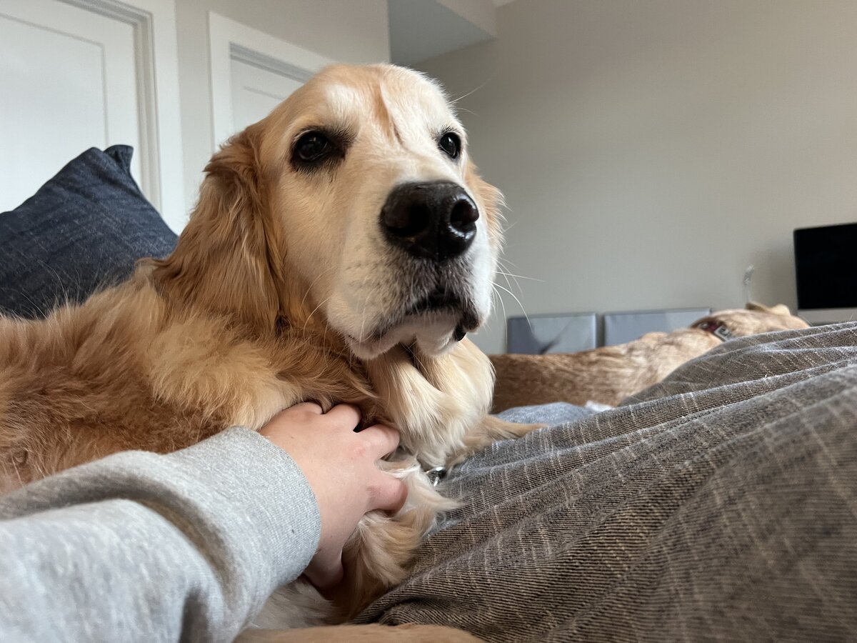 Snuggle