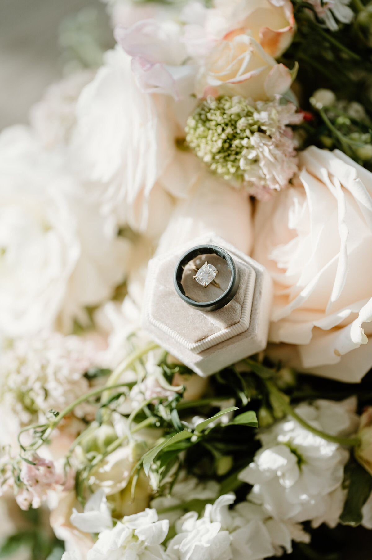 ZF1_9598