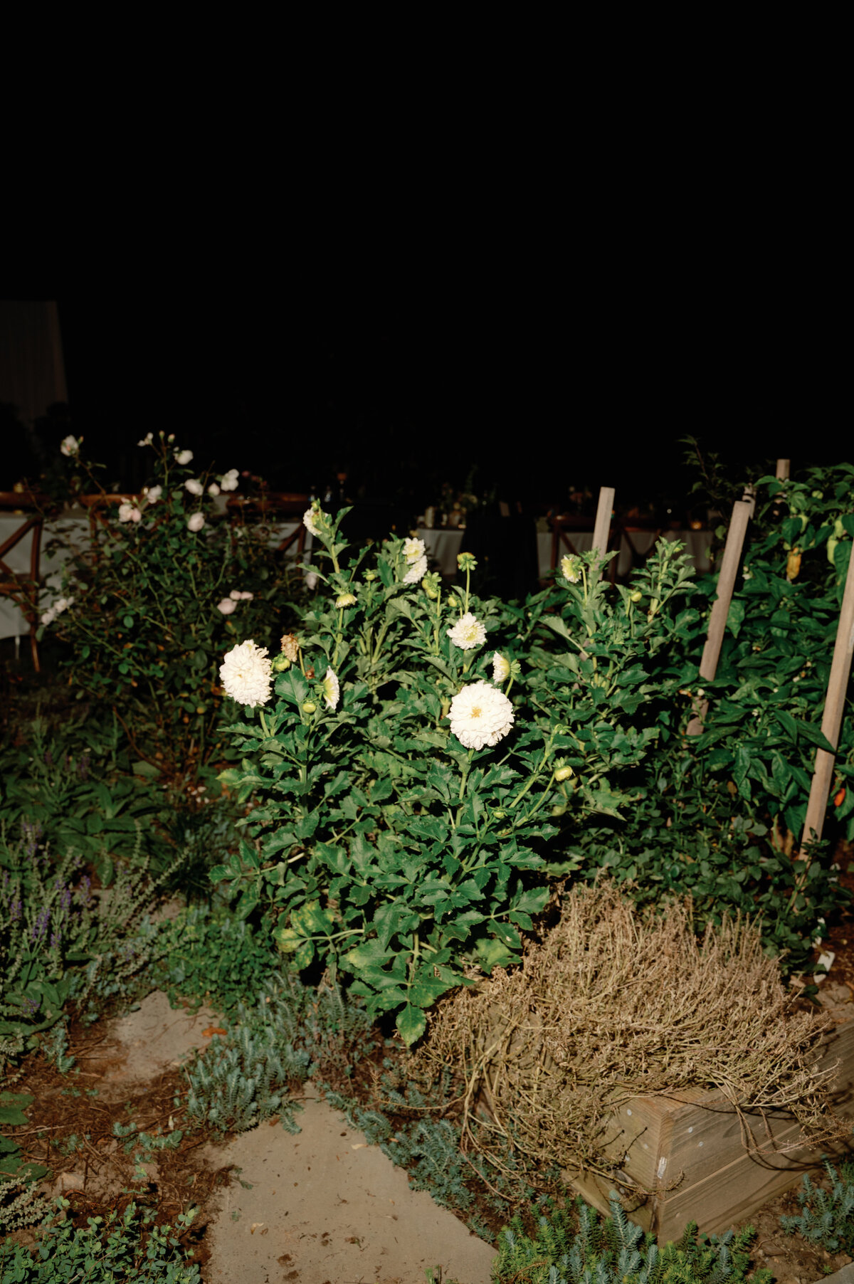 Destination-Wedding-Photographer-Erica-And-Max-Jenna-Martin784