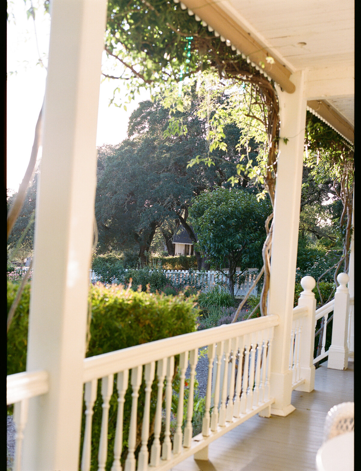 NatalieMax-Wedding-crystalkphotos-531