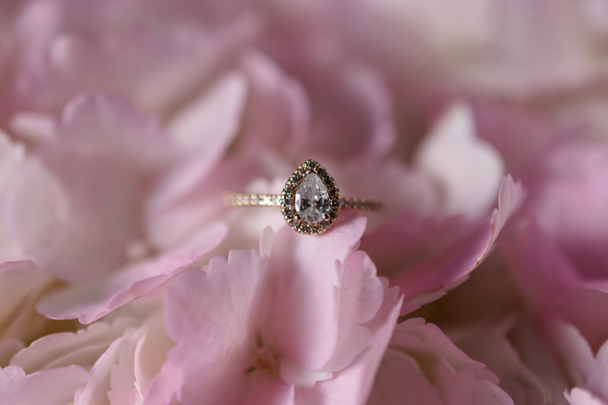 Torres Wedding Web-3