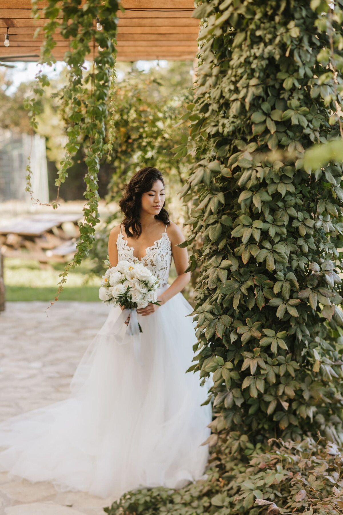 Bride beside a large vine