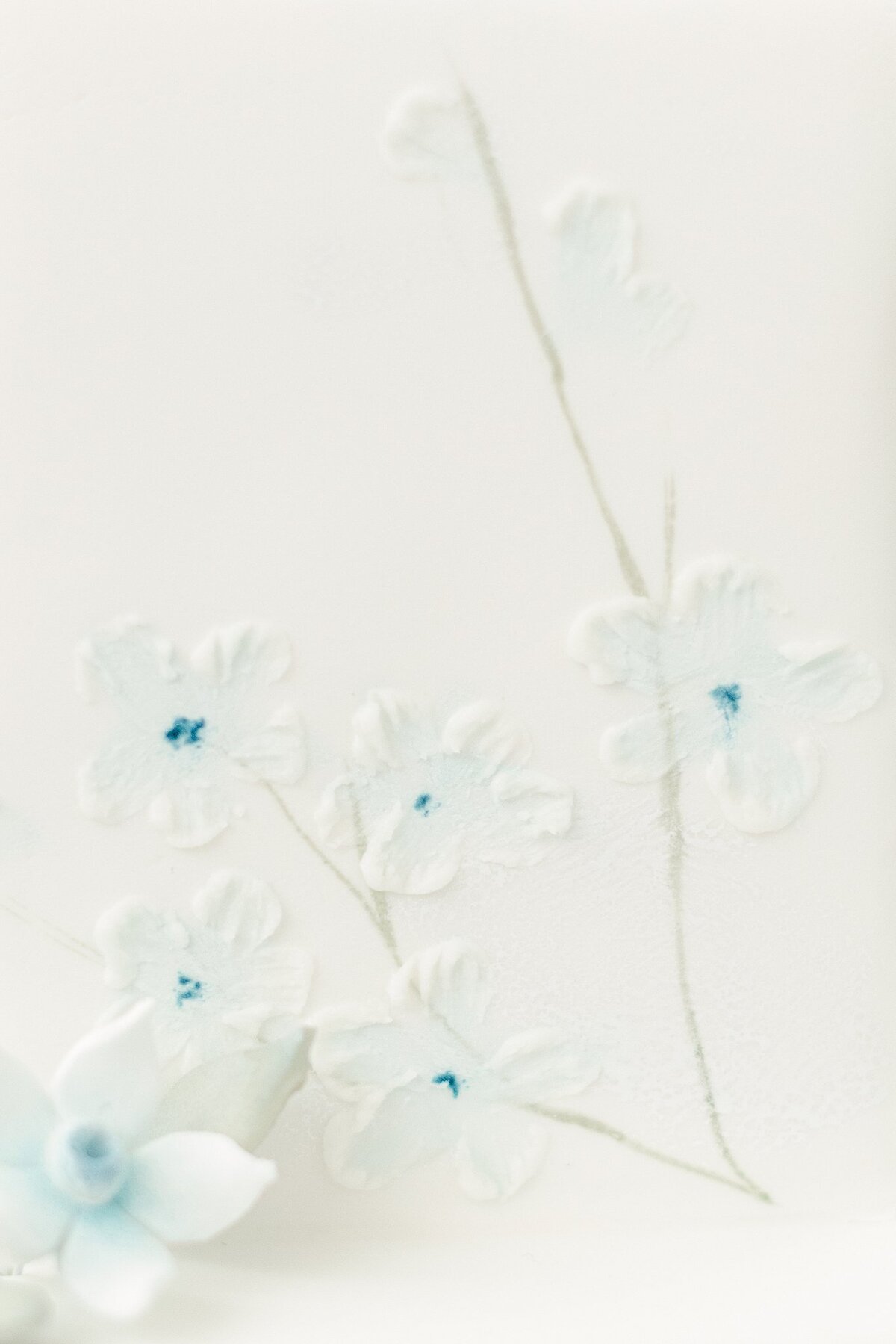 Alison Mae Photography_0991