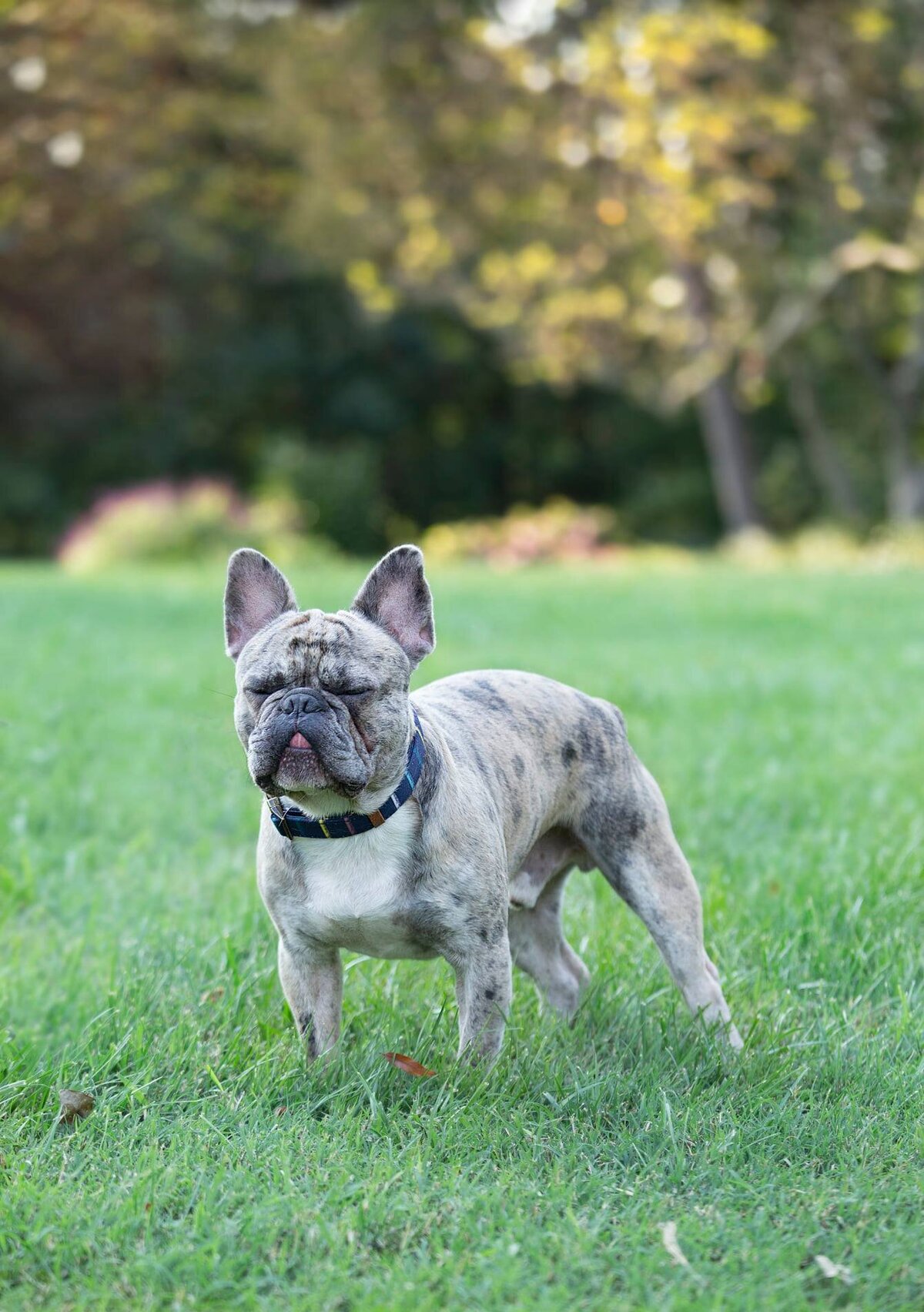 470237426_2817241085144588_4155486109921381246_n