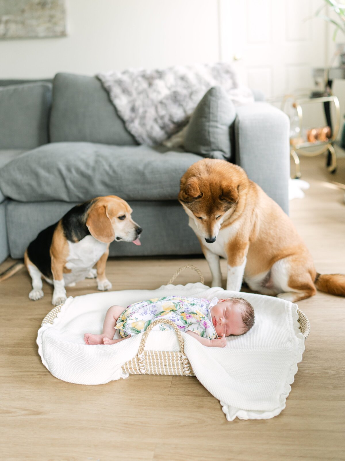 NJ-Newborn-Photographer-228
