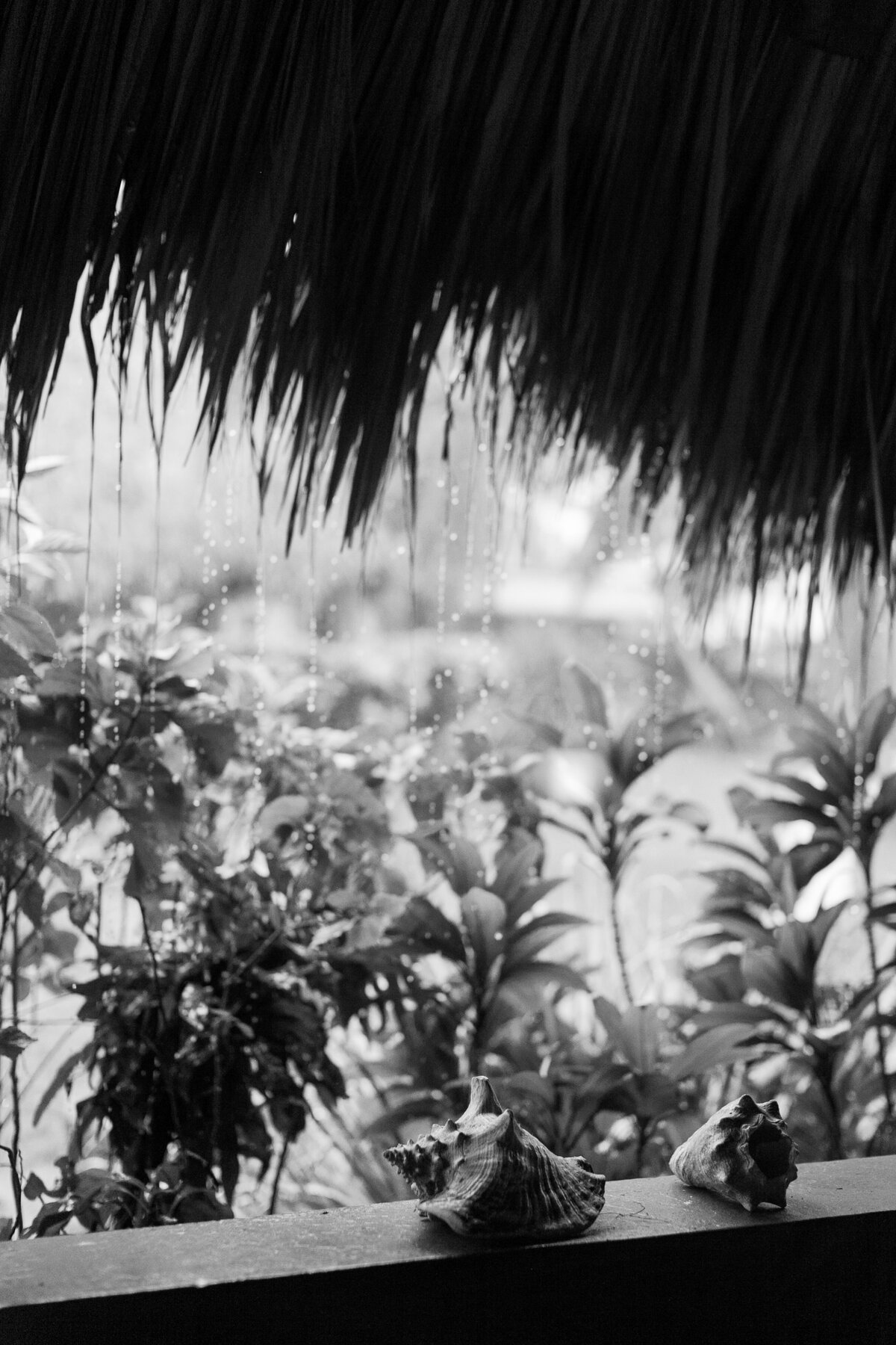 bz_0039